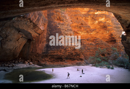 Cattedrale di gola nel la catena dei Bungle Bungle Range, Parco Nazionale di Purmululu, Australia occidentale, Australia Foto Stock