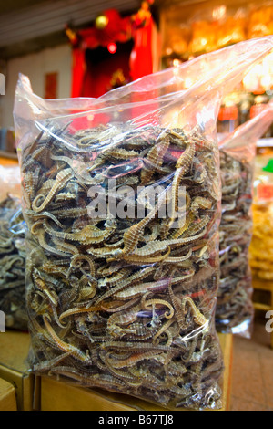 Close-up di cavallucci marini essiccati in un sacchetto di plastica per la vendita, Isola di Hong Kong, Hong Kong, Cina Foto Stock