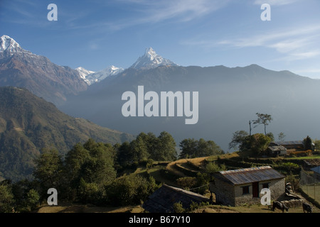 Coda di pesce dalla montagna sopra il villaggio Ghandruk nella catena Hannapurna, Himalaya, Nepal Foto Stock