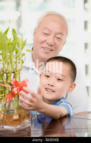 Close-up di un ragazzo che sorride e toccando una pianta di bambù con il nonno dietro di lui Foto Stock