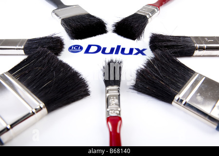 Dulux pennelli per dipingere con logo,un marchio da Akzo Nobel. Foto Stock