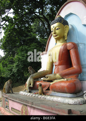 Macachi Rhesus (macaca mulatta) riprodurre sulla statua di Buddha a Swayambhunath stupa buddisti (aka Monkey Temple), Kathmandu, Bagmati, Himalaya, Nepal, Asia Foto Stock