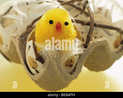 Pulcino di pasqua in gusci di uova rotti Foto Stock