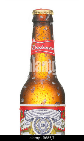 Fredda birra Budweiser bottiglia ricoperto di ghiaccio Foto Stock