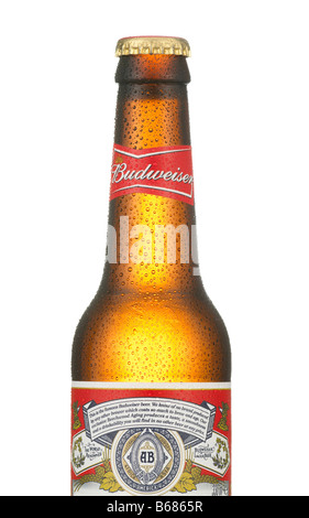 Bottiglia di fredda birra Budweiser close up coperto con le goccioline di acqua Foto Stock