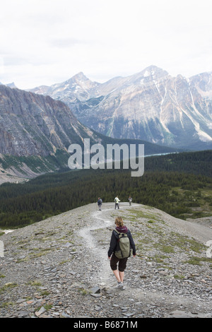 Donna escursionismo a Cavell Meadows, Monte Edith Cavell, Jasper National Park, Alberta, Canada Foto Stock