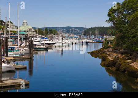 Porto e Marina di Nanaimo 'l'isola di Vancouver' 'British Columbia " Canada Foto Stock