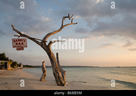 Giamaica Negril impostazione luci sun bar segno pendente dal lembo di albero lungo la bianca spiaggia di supporto dal Mar dei Caraibi Foto Stock