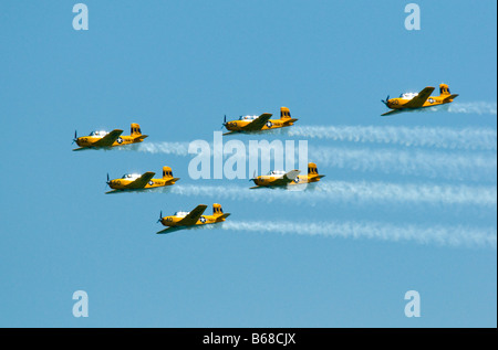 Vintage US Navy squadrone - Lima Lima Team di volo Foto Stock