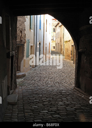 Benedettina Abbazia di Cluny, Borgogna, Francia Foto Stock