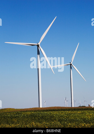 Stati Uniti d'America, Illinois, turbine eoliche nel campo di soia Foto Stock