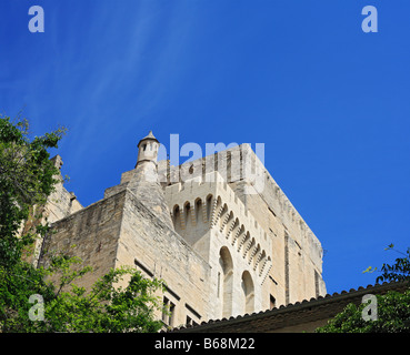 Palazzo Papale (XIV secolo), il Sito Patrimonio Mondiale dell'UNESCO, Avignone, Provenza, Francia Foto Stock