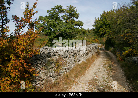 Muro di pietra steinmauer weg modo Foto Stock