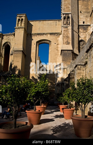 Giardino Formale Del Cataro Cathédrale Saint-Just-Et-Saint-Pasteur De Narbonne Costruito 1272, Narbonne, Linguadoca-Rossiglione, Francia Foto Stock