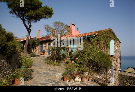 Antico casolare di Collioure, Pyrennees-Orientales, Francia Foto Stock