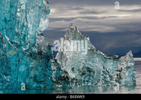 Stati Uniti d'America Alaska Tongass National Forest Tracy braccio terrore di guadi deserto profondo blu iceberg vicino a galleggiante ingresso alla baia di Holkham Foto Stock