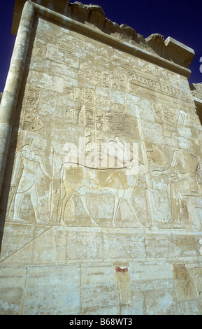 Parete intagliare sulla seconda terrazza del Tempio della Regina Hatshepsut con dea Hathor come una mucca portante il disco solare tra le corna Foto Stock