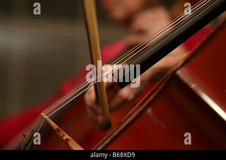 Violoncellisti suonare duetti Foto Stock