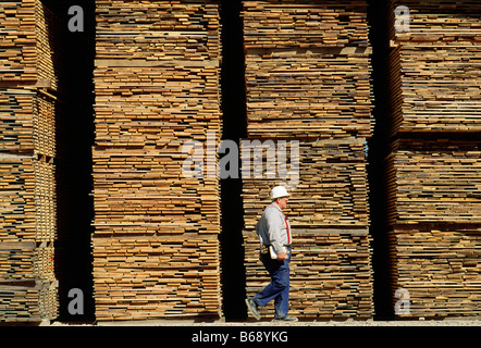 Grandi pile di legname essiccazione a Kane i legni duri produttori di grado superiore i legni duri Kane McKean County Pennsylvania USA Foto Stock