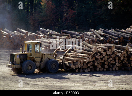 Caricatore a estremità anteriore spostando appena tagliato log in Kane legni duri, Kane, McKean County, Pennsylvania, STATI UNITI D'AMERICA Foto Stock