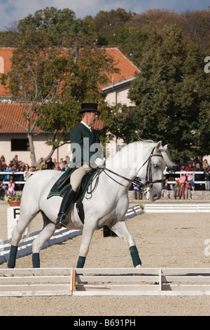 Lipica open day 2008 la Slovenia Foto Stock