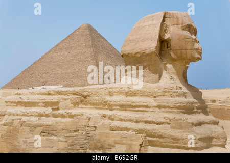 Grande Sfinge con la piramide di Cheope in background Foto Stock