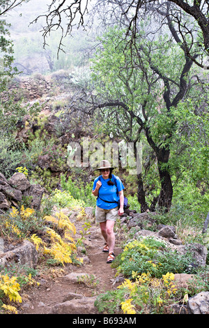 Donna escursionista sulla via che conduce passato di alberi e di fiori selvaggi nel Barranco de Guayadeque Gran Canaria Spagna Foto Stock