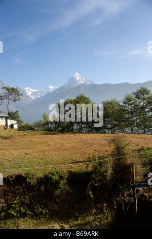 Coda di pesce dalla montagna sopra il villaggio Ghandruk nella catena Hannapurna, Himalaya, Nepal Foto Stock