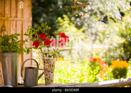 Annaffiatoio con un vaso di fiori e una pianta in vaso Foto Stock