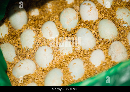 Close-up di uova di anatra, Tai'an, Provincia di Shandong, Cina Foto Stock