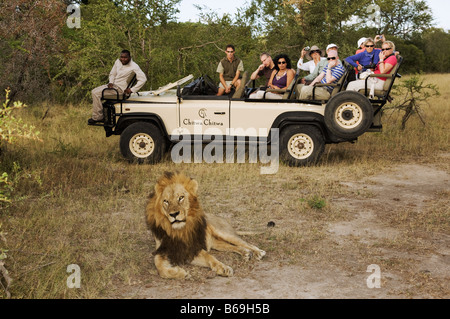 Gli ospiti su un game drive fotografare un maschio adulto lion Chitwa Chitwa privato game lodge Sabi Sand Game Reserve Foto Stock