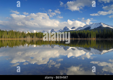 Buller laghetto di montagna lungo la Smith Dorrien autostrada a sud di Canmore Alberta Valle Spray Parco provinciale di Alberta in Canada Foto Stock