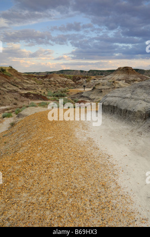 Badlands auto guidate Sentiero vicino al Royal Tyrrell Dinosaur Museum Drumheller Alberta Canada Foto Stock