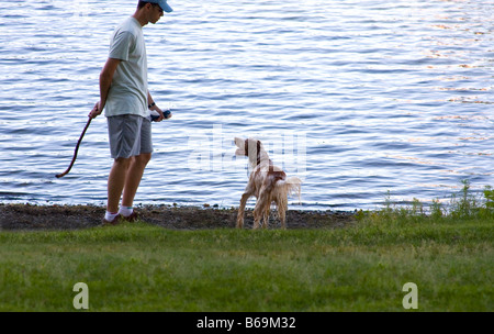 Uccello umido cane in attesa per il Master per gettare il bastone. Foto Stock