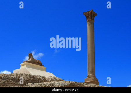 La colonna di Pompeo Alessandria d Egitto Foto Stock