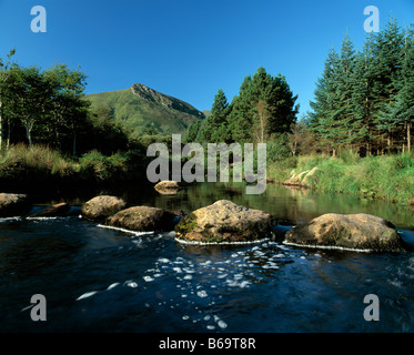 Araglen, glenteenassig, glanteenassig, Castlegregory, penisola di Dingle Irlanda la bellezza della natura, Foto Stock