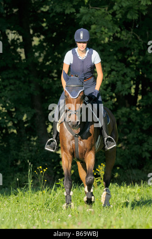 Giovane pilota che indossa un casco di equitazione e un organismo di protezione sul retro di un bavarese cavallo di razza Foto Stock