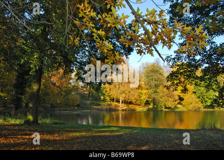 Alberi autunnali e stagno nel parco locale Roermond Paesi Bassi Foto Stock