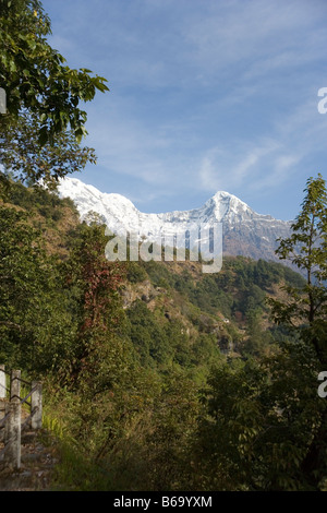 Annapurna Sud e Hiunchuli montagne dal vicino villaggio di Ghandruk, Modi valle fluviale nella catena Hannapurna, Himalaya, Nepal Foto Stock