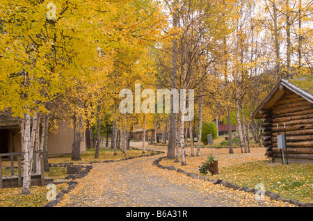 Log Cabin alloggi a Chena Hot Springs Resort, Alaska Foto Stock