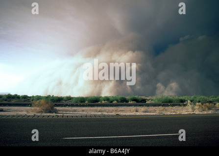 Tempesta di polvere si brucia fino in Arizona deserto vicino a Yuma. Foto Stock