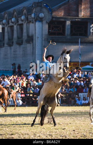 Rodeo cavallo Uruguay fiesta gaucho cow-boy cowboy Foto Stock