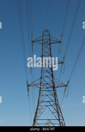 Pilone Foto Stock