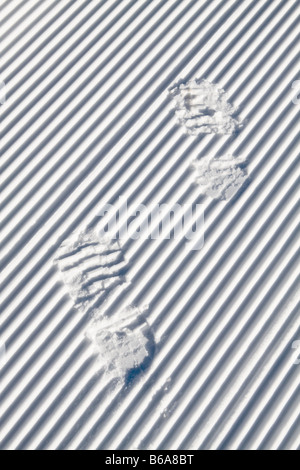 Orme nella neve Foto Stock