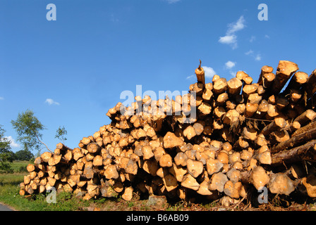 Pile di tronchi vicino Ambert, Puy de Dôme, Francia Foto Stock