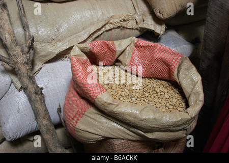 I chicchi di caffè in un sacchetto rustico, Costa Rica piantagione di caffè Foto Stock