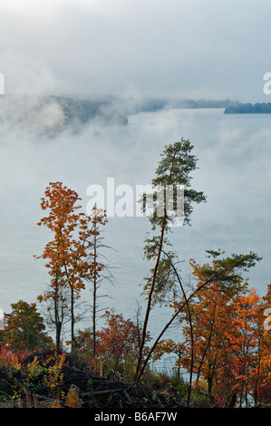 Mist Rising Off Watt Bar Lago all'alba Rhea County Tennessee Foto Stock