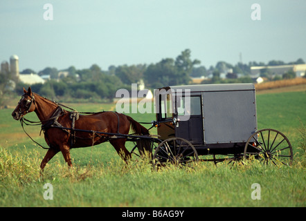 Amish cavallo buggy su una strada rurale, Lancaster County, Pennsylvania, STATI UNITI D'AMERICA Foto Stock