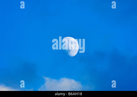 Waxing Gibbous Moon nel pomeriggio Sky Foto Stock