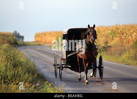 Amish cavallo buggy su una strada rurale, Lancaster County, Pennsylvania, STATI UNITI D'AMERICA Foto Stock